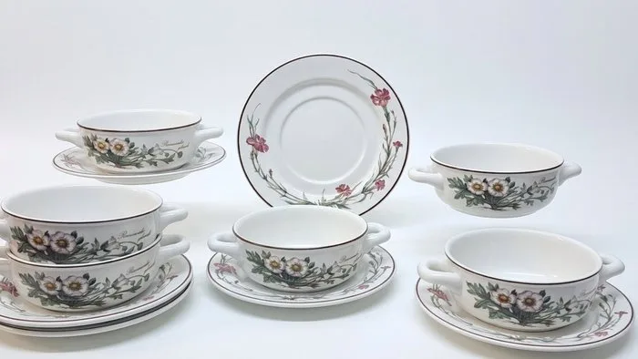 Villeroy & Boch - Dinner set for 6 (12) - Botanica - Vitro-Porcelain - Excellent condition
