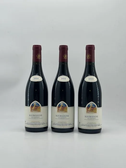 2020 Domaine Georges Mugneret-Gibourg Bourgogne Rouge Les Lutenieres - Burgundy - 3 Bottles (0.75L)